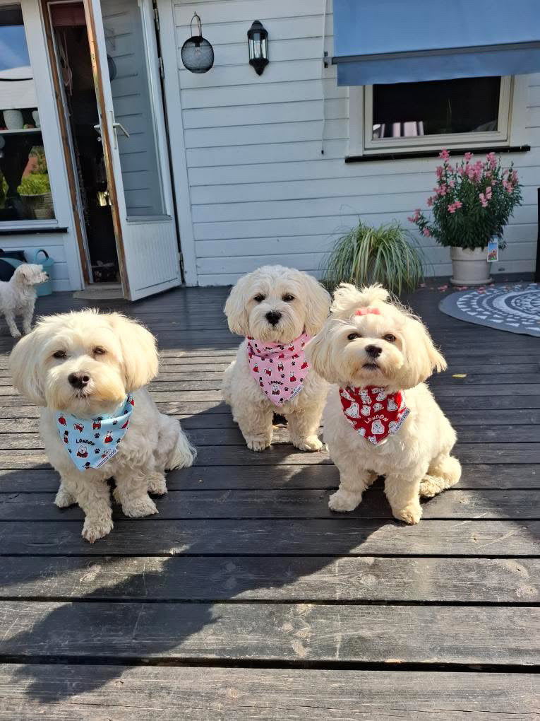 Royal Pups Bandana – Baby Pink