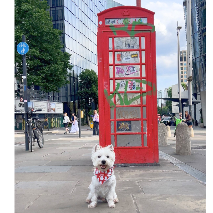 London Dog Attitude Bandana - Unique Dog Signature (2025 Version)