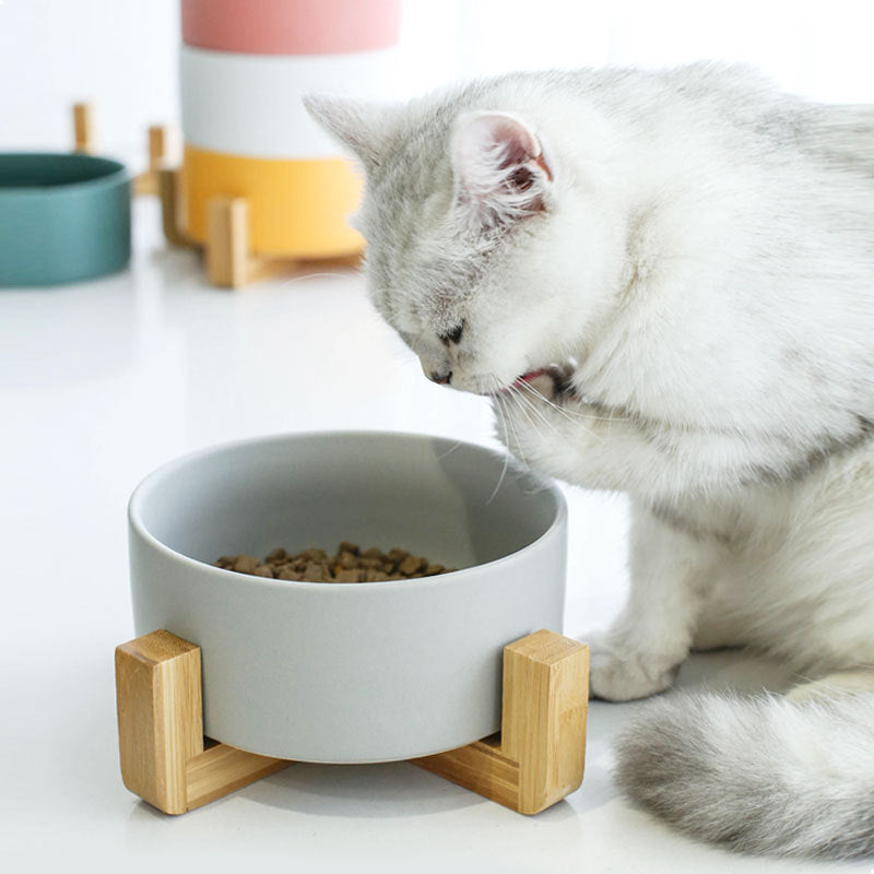 Pink Ceramic Pet Bowl with Bamboo Stand
