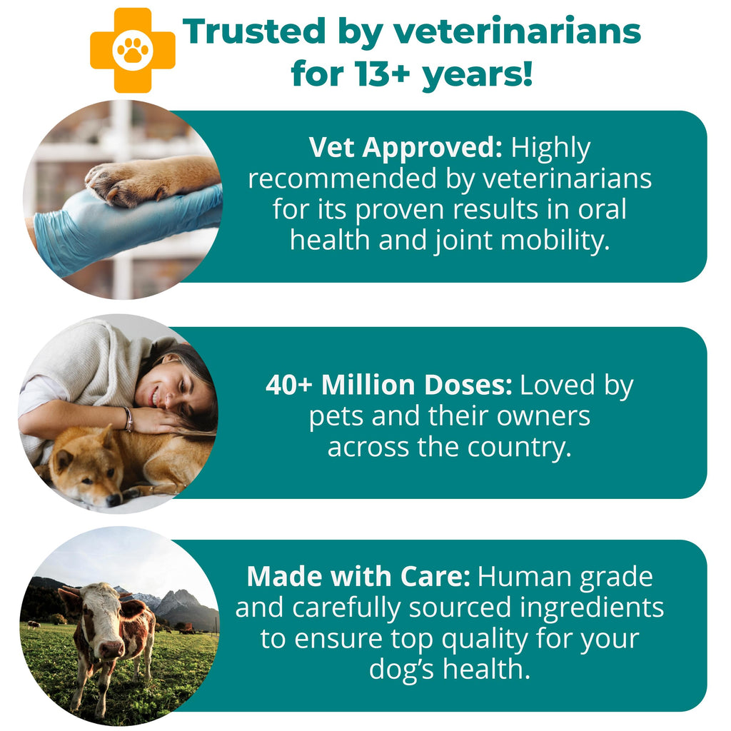 1-TDC WorksSoWell Dual Action Joint Supplement for Dogs & Cats - Mobility, Oral Health & Stamina (120ct)