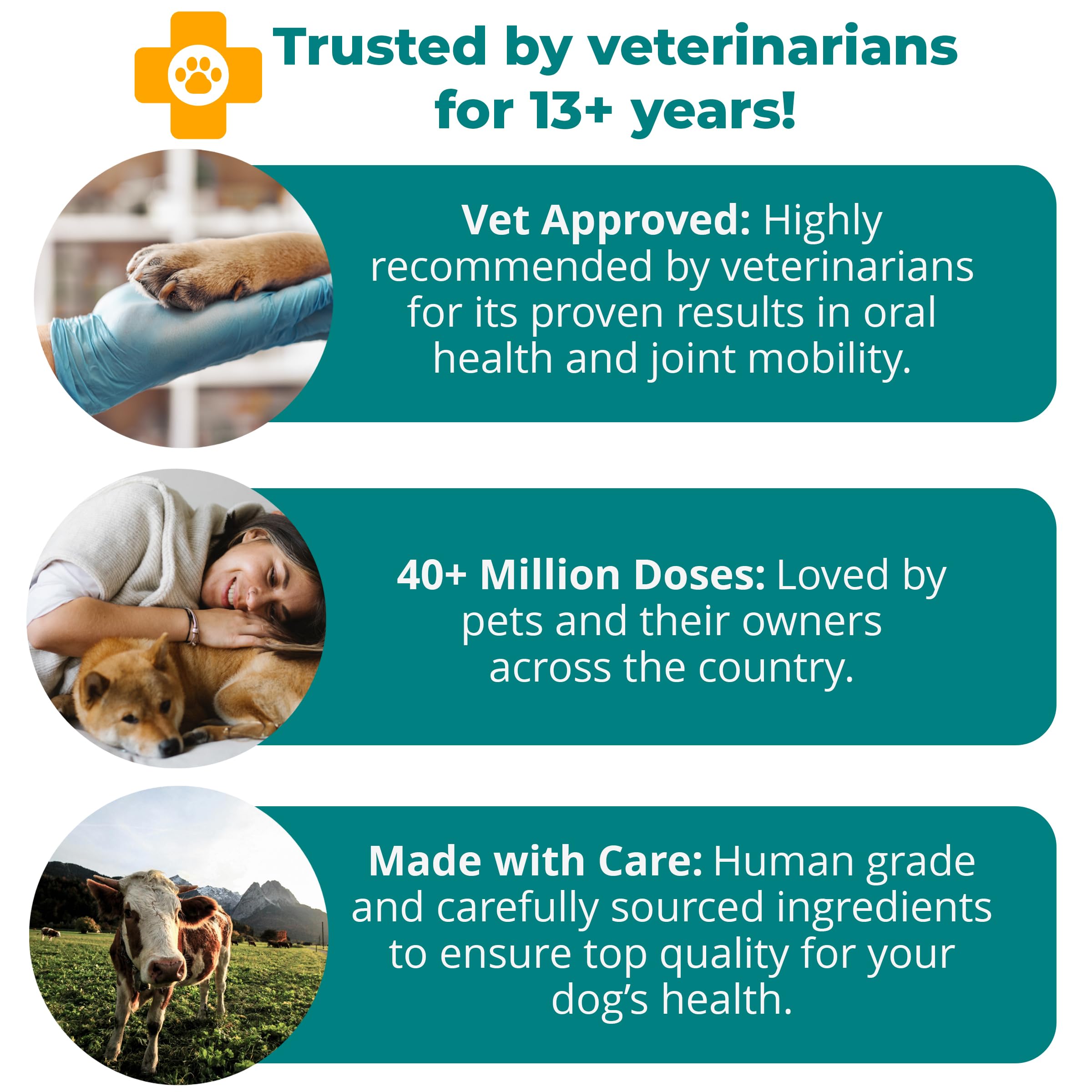 1-TDC WorksSoWell Dual Action Joint Supplement for Dogs & Cats - Mobility, Oral Health & Stamina (120ct)