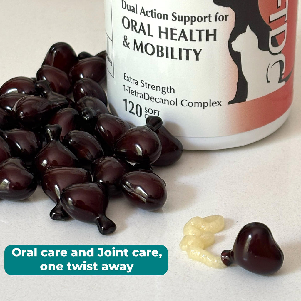 1-TDC WorksSoWell Dual Action Joint Supplement for Dogs & Cats - Mobility, Oral Health & Stamina (120ct)