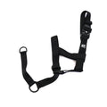 2.5cm Head Collars