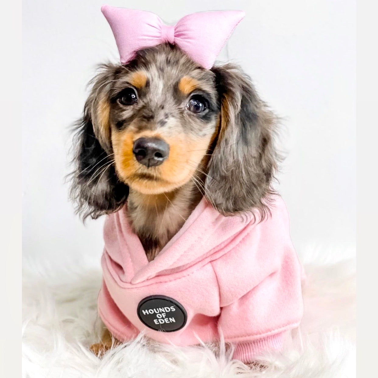 Dog Hoodie - Grey