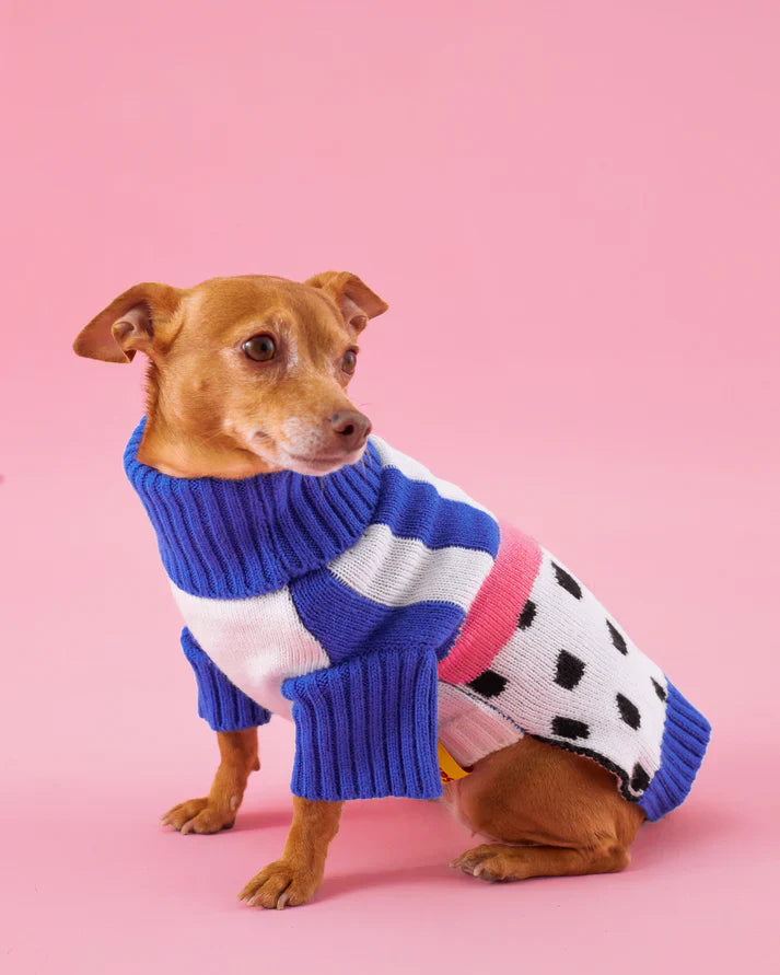 Pitaya Cloomps Jumper
