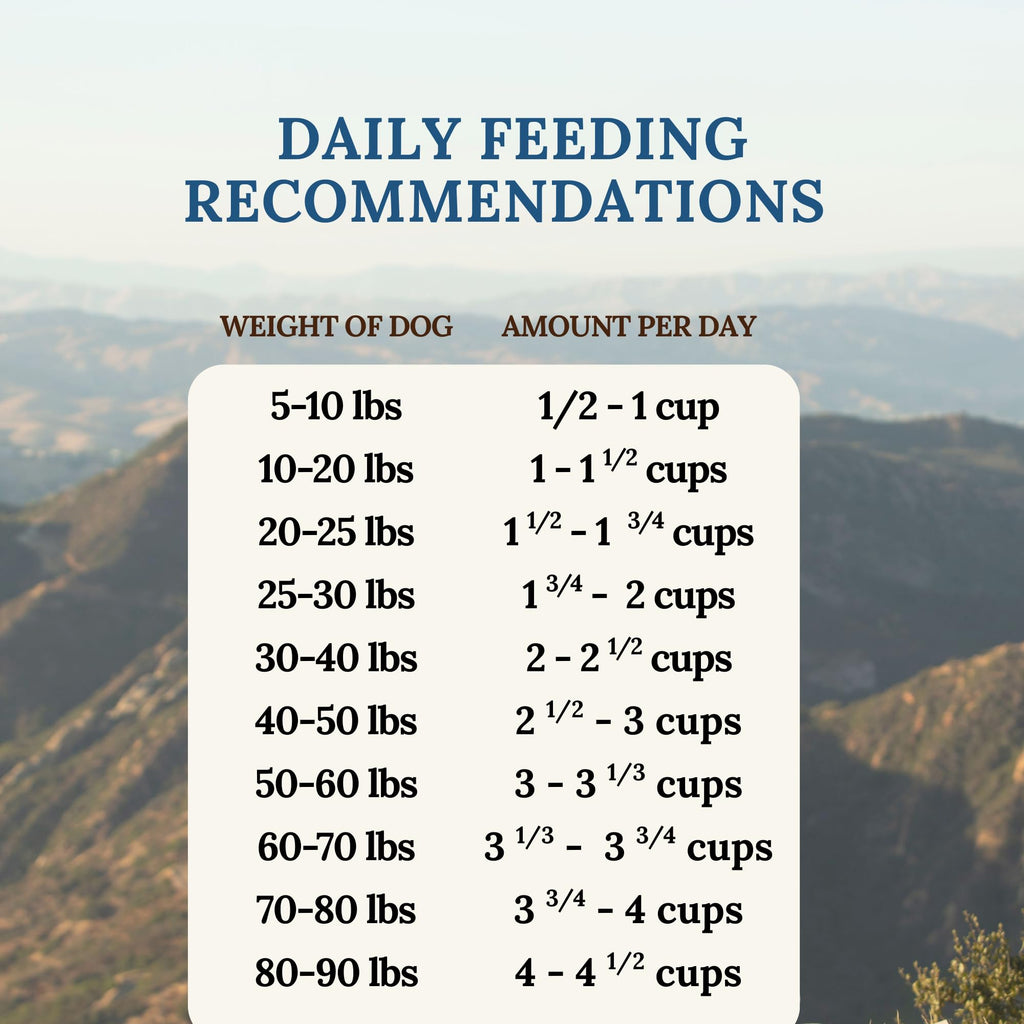 360 Pet Nutrition Freeze-Dried Raw Dog Food – Beef Recipe with Liver & Organs, Grain-Free, USA Made