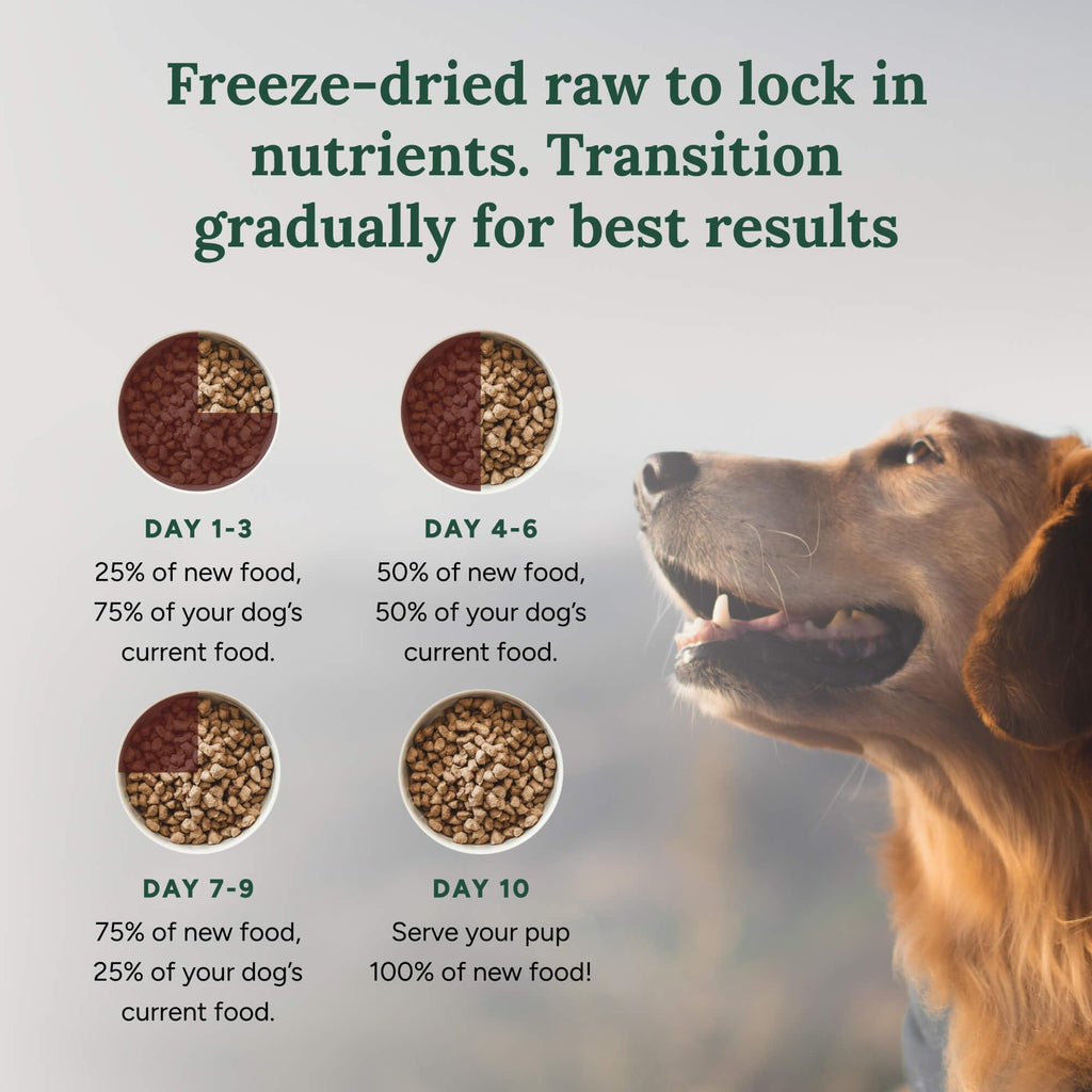 360 Pet Nutrition Freeze-Dried Raw Dog Food – Beef Recipe with Liver & Organs, Grain-Free, USA Made