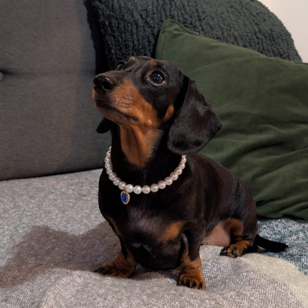 Royal Pearl Pet Necklace – Golden Heart Gem | Luxury Jewelry for Dogs & Cats
