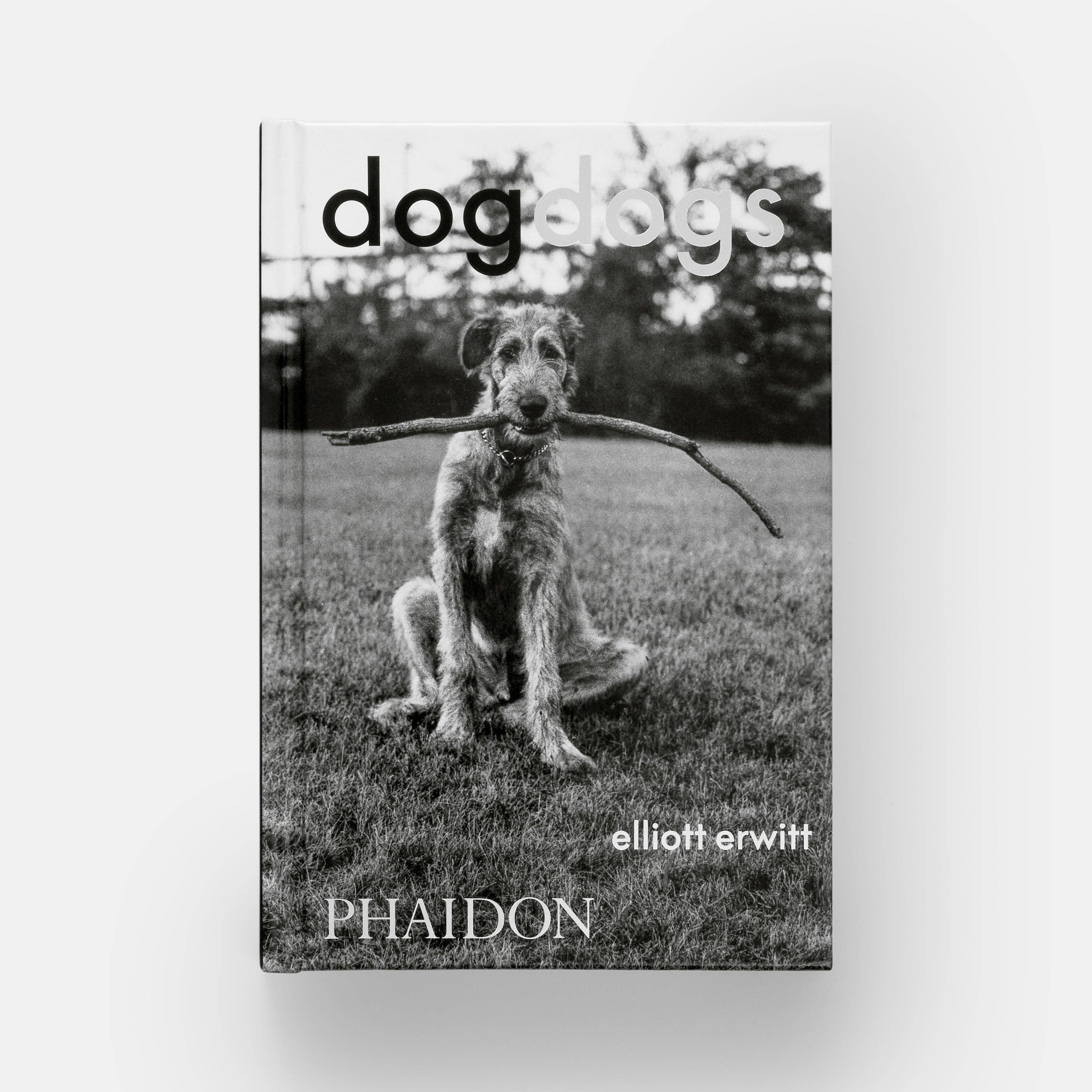 DogsDogs by Elliott Erwitt