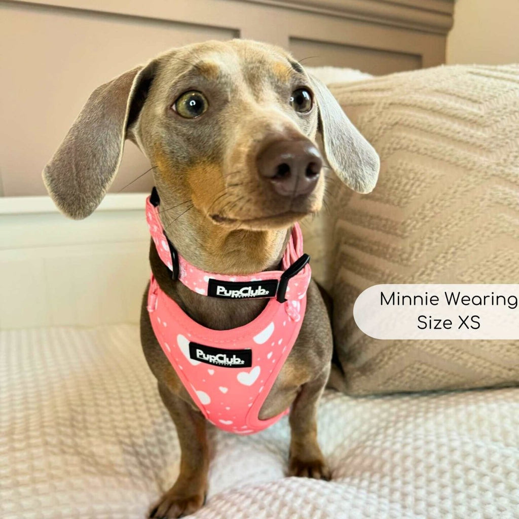 Adjustable Harness - Peachy Hearts