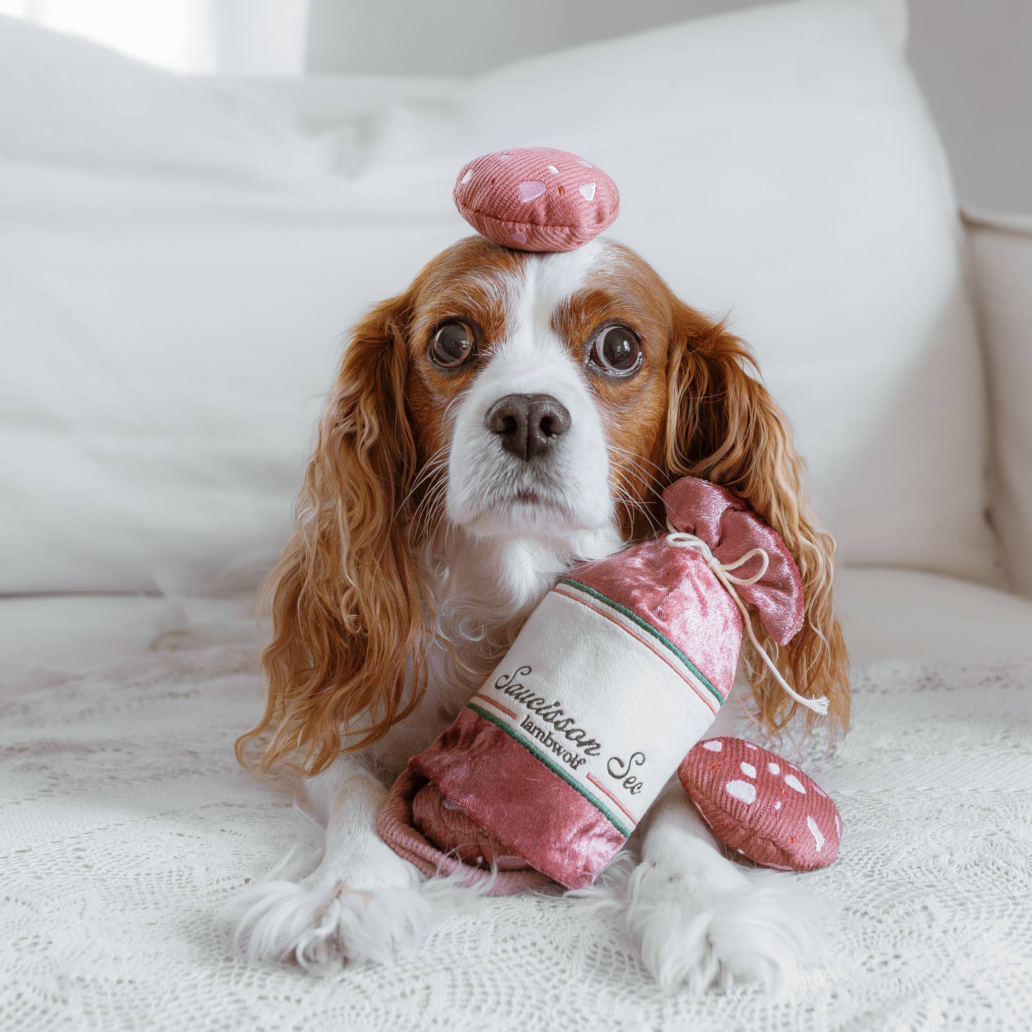 Saucisson Enrichment Dog Toy