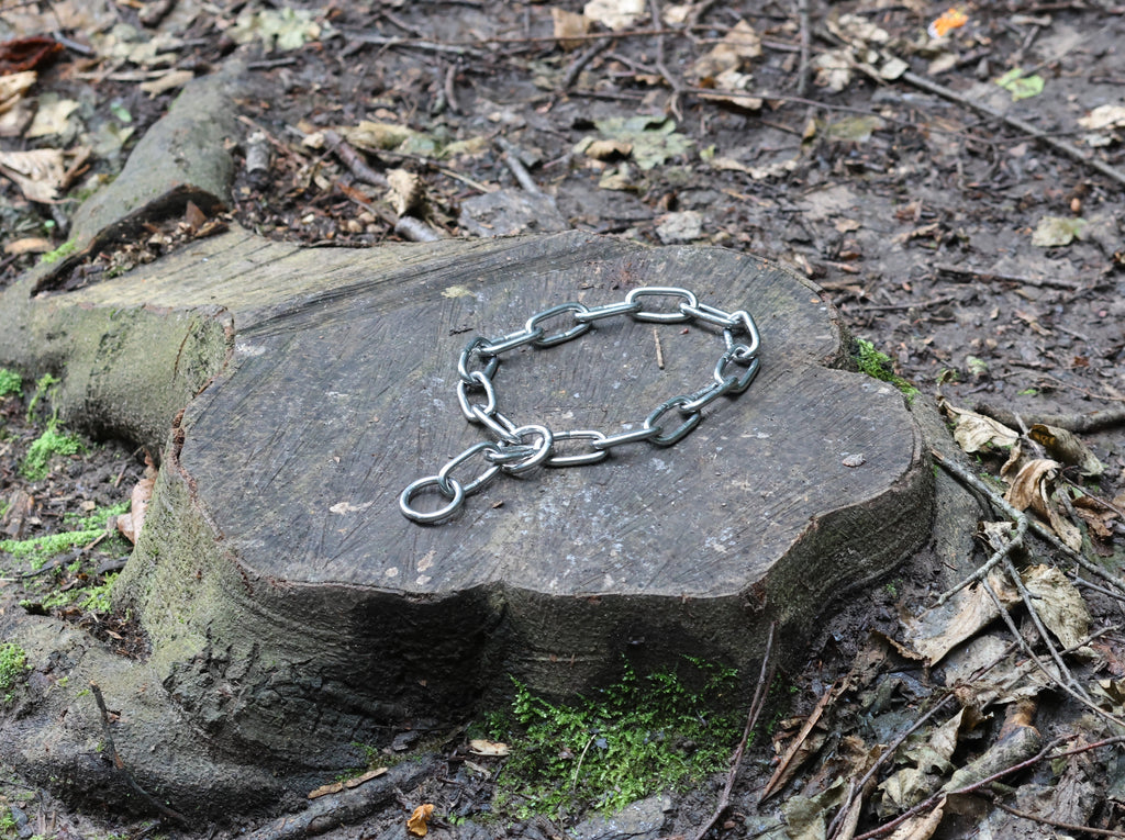 5mm Chain Collar