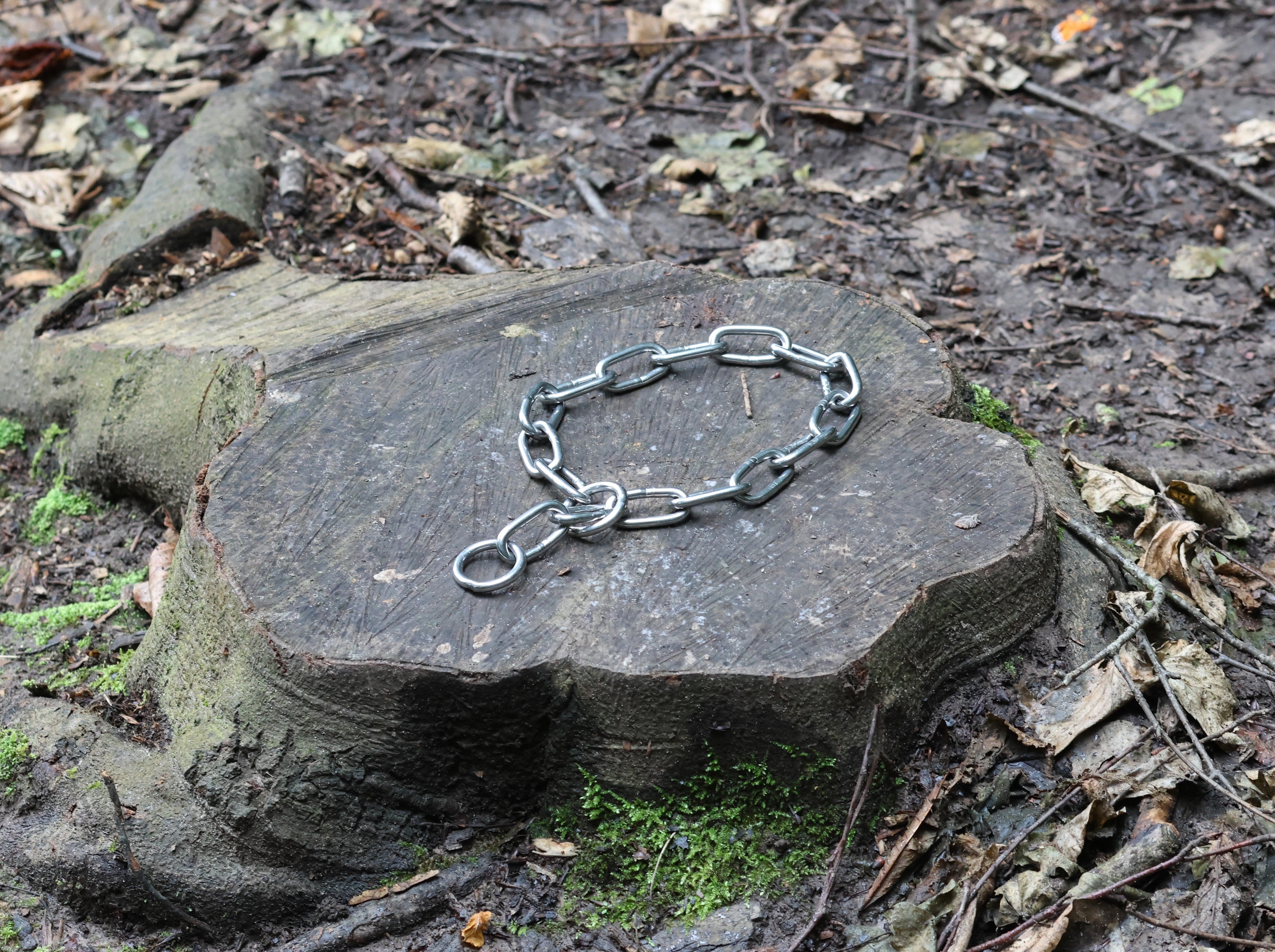 5mm Chain Collar