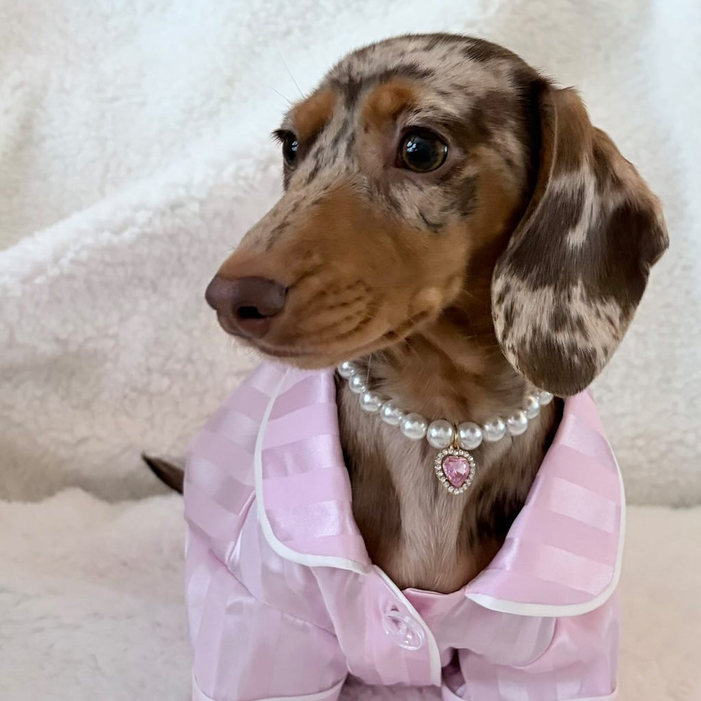 Royal Pearl Pet Necklace – Golden Heart Gem | Luxury Jewelry for Dogs & Cats