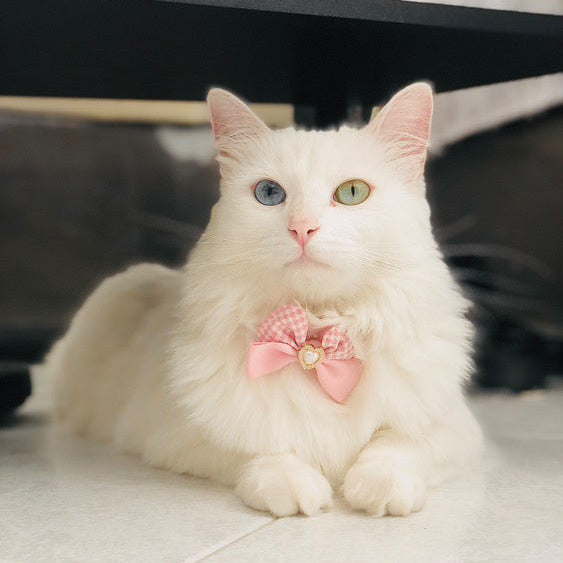 Princess Pearl Pet Necklace – Pink Gingham Bow with Heart Charm | Elegant Dog & Cat Jewelry