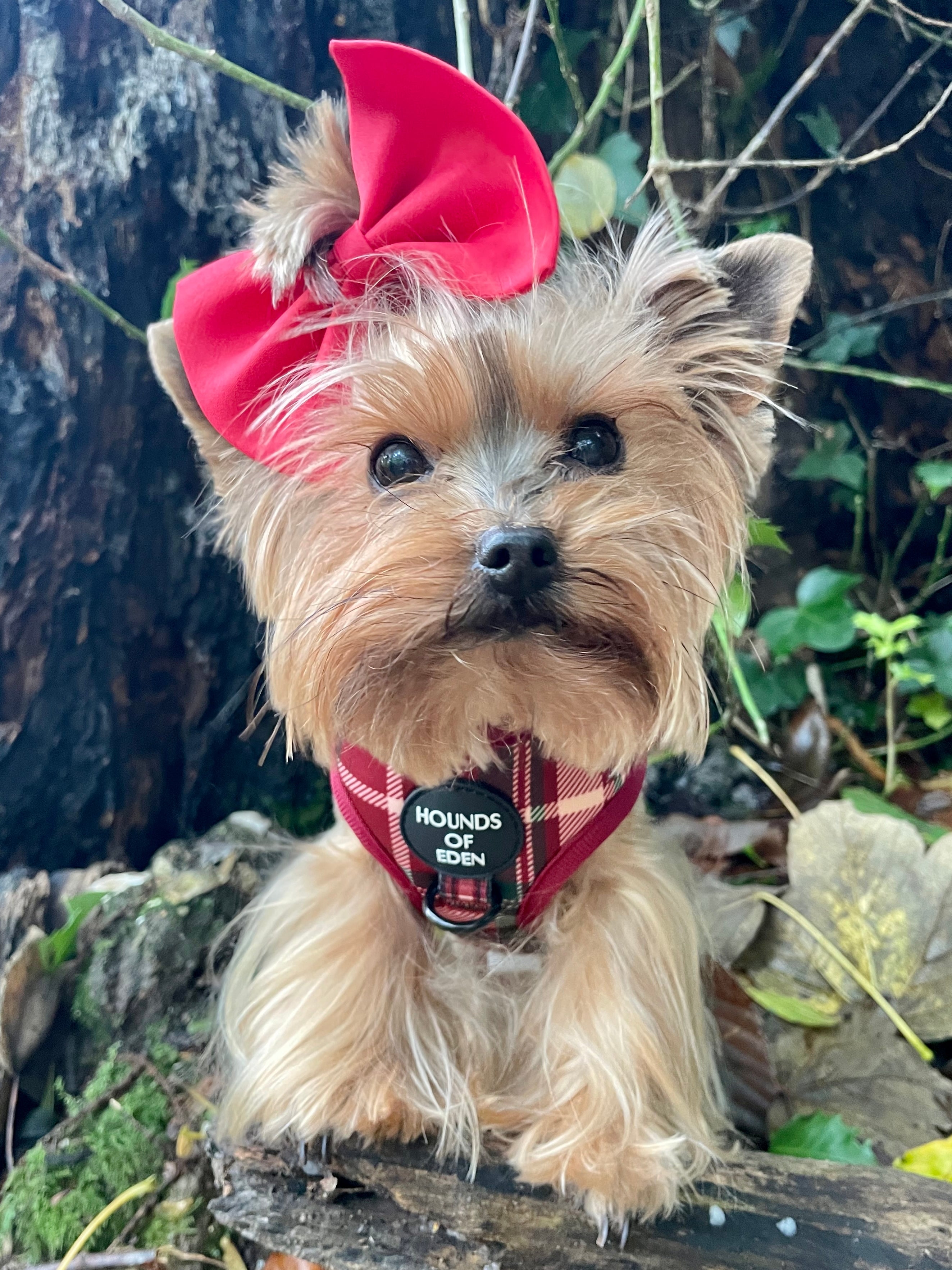 Tartan Me Up - Red & Cream Tartan Design Poop Bag Holder