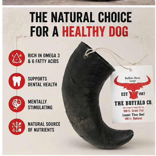 Buffalo Horn-Small (4-5 Inch)-Dog Treats