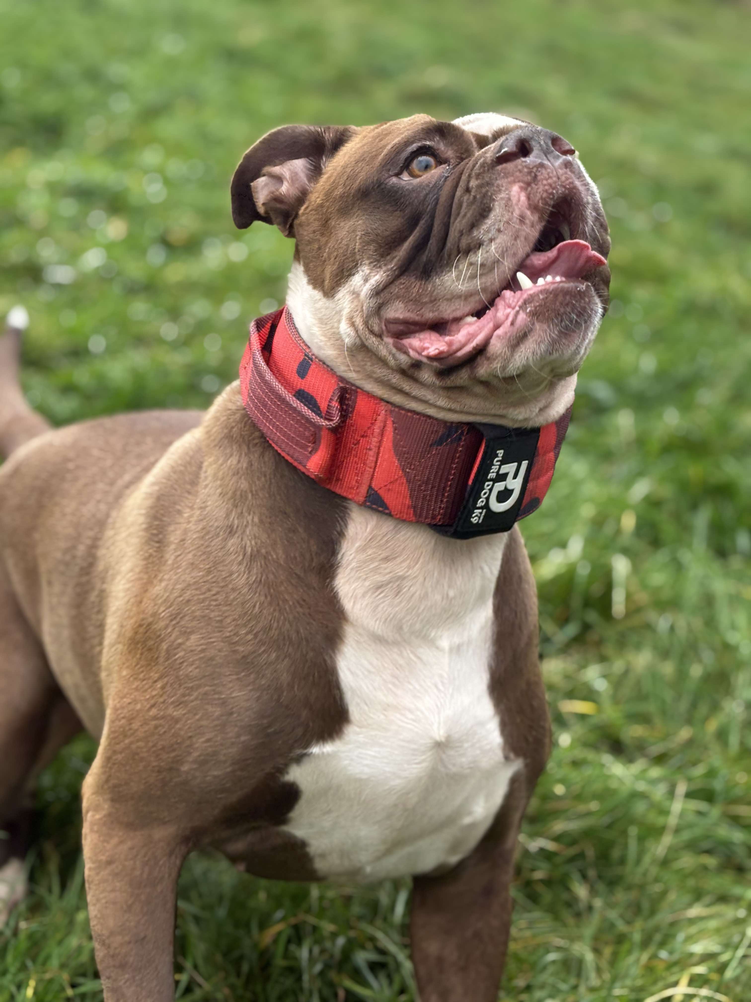 7cm Sport Collar Red Camo