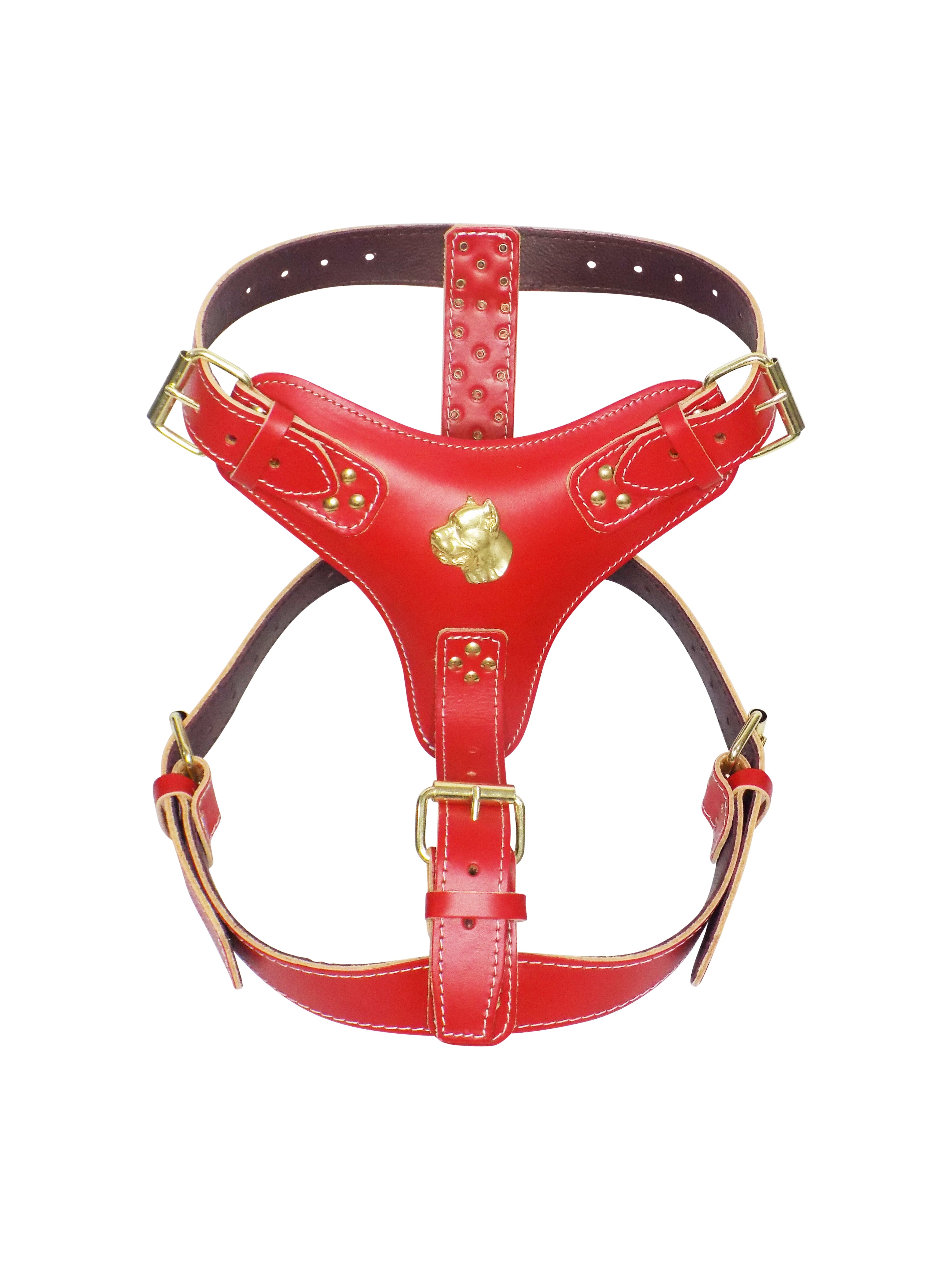 Extra Large Heavy Duty Leather Dog Harness with Gold Cane Corso Head Motif