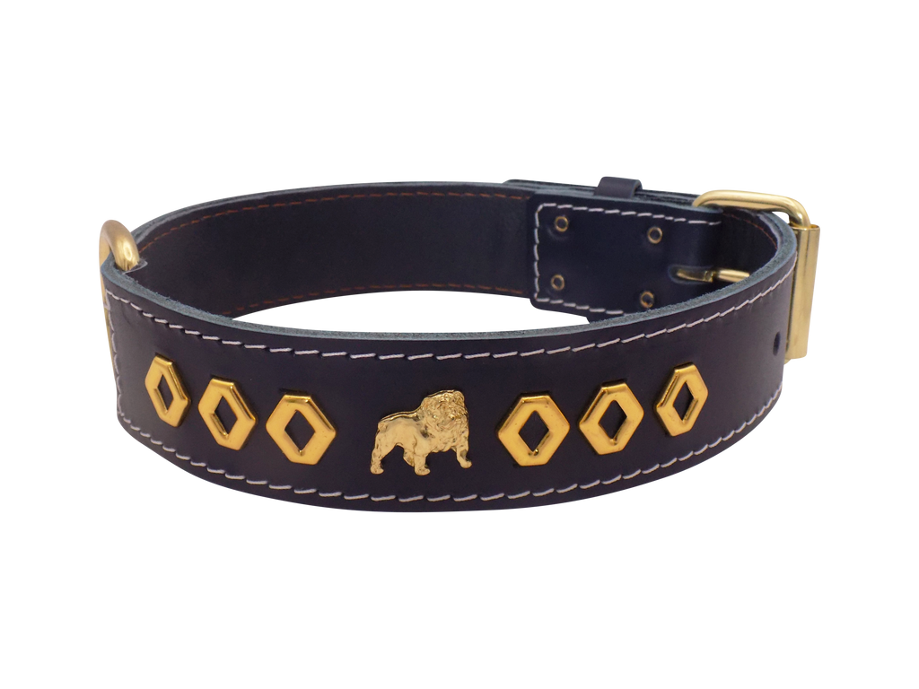 1.5" wide Leather Dog Collar with Unique Gold Design and English Bulldog Badges