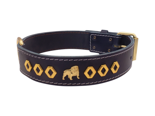 1.5" wide Leather Dog Collar with Unique Gold Design and English Bulldog Badges