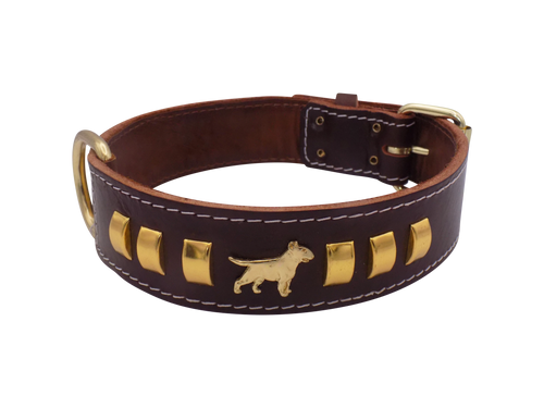 1.5" wide Leather Dog Collar with Decorative Gold Design and English Bull Terrier Badges