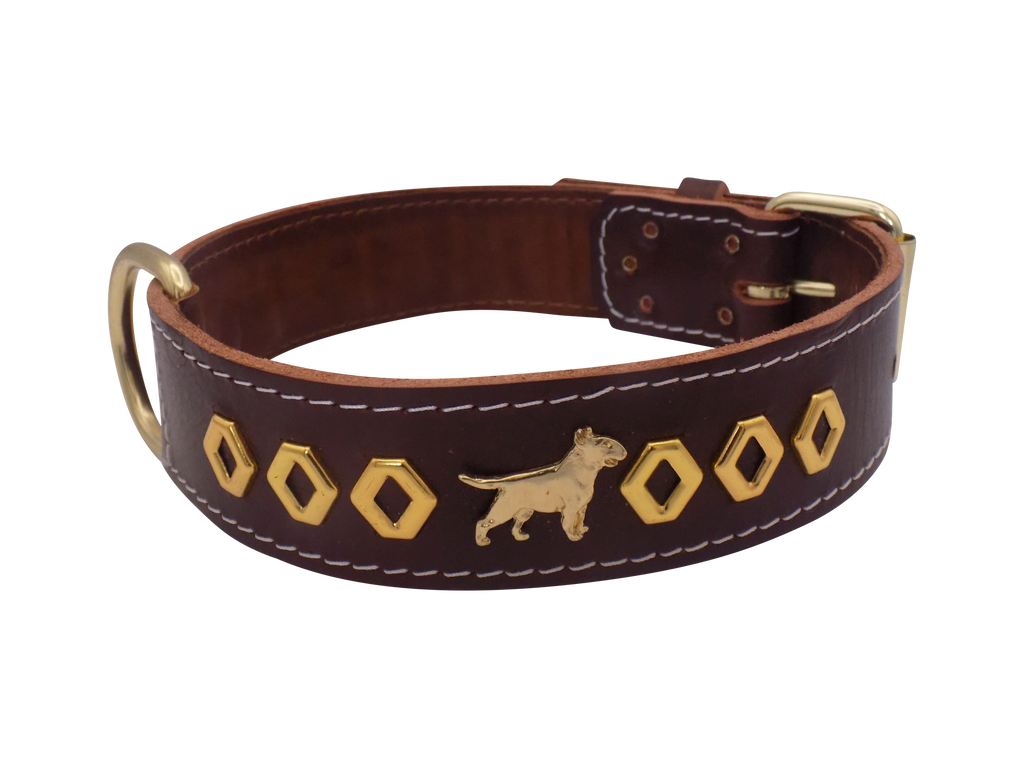 1.5" wide Leather Dog Collar with Decorative Gold Design and English Bull Terrier Badges