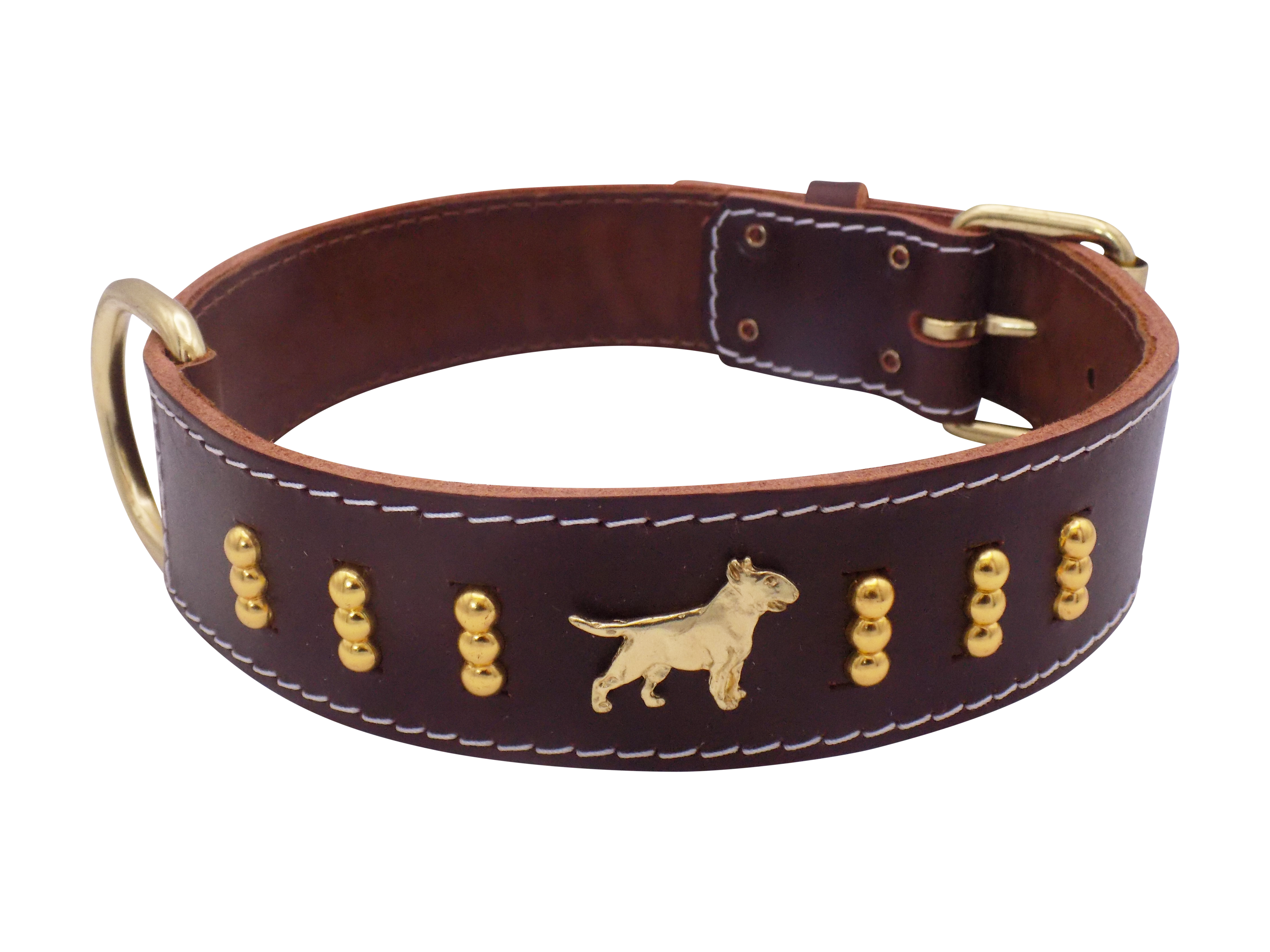 1.5" wide Leather Dog Collar with Decorative Gold Design and English Bull Terrier Badges