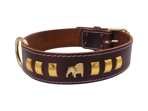 1.5" wide Leather Dog Collar with Unique Gold Design and English Bulldog Badges