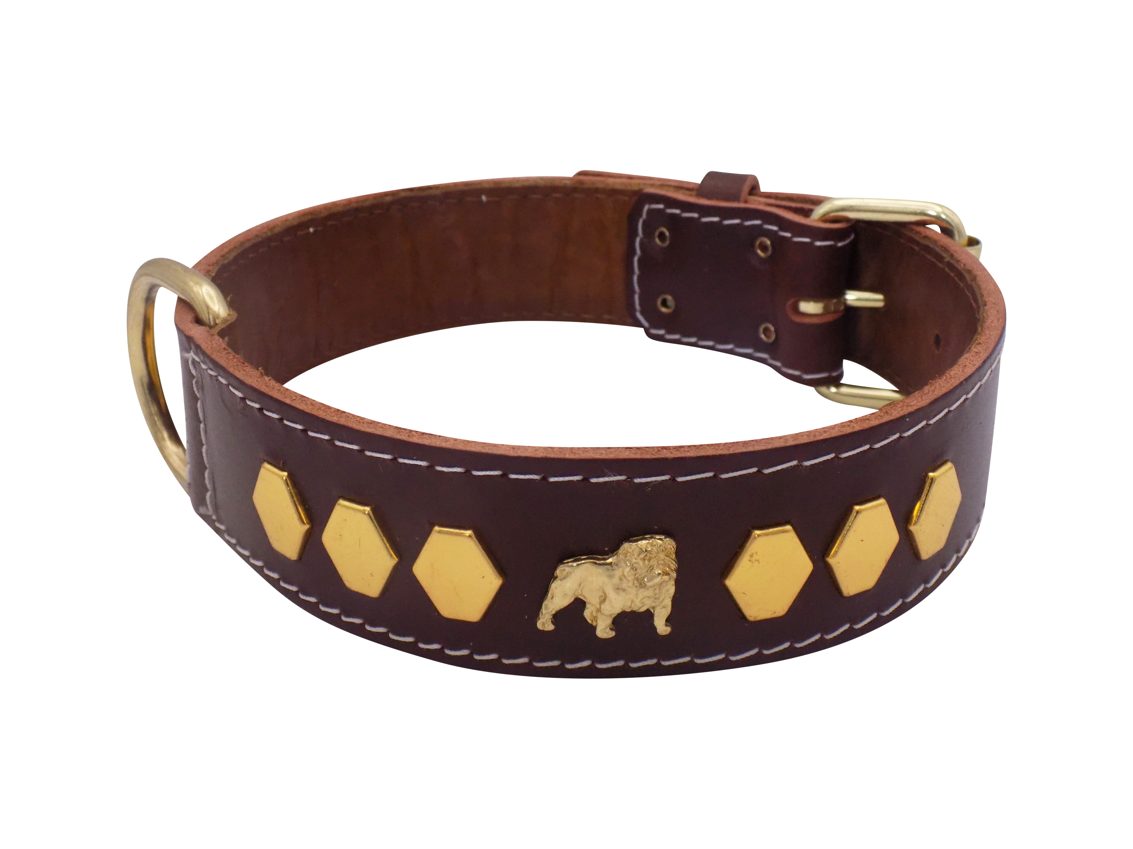 1.5" wide Leather Dog Collar with Unique Gold Design and English Bulldog Badges