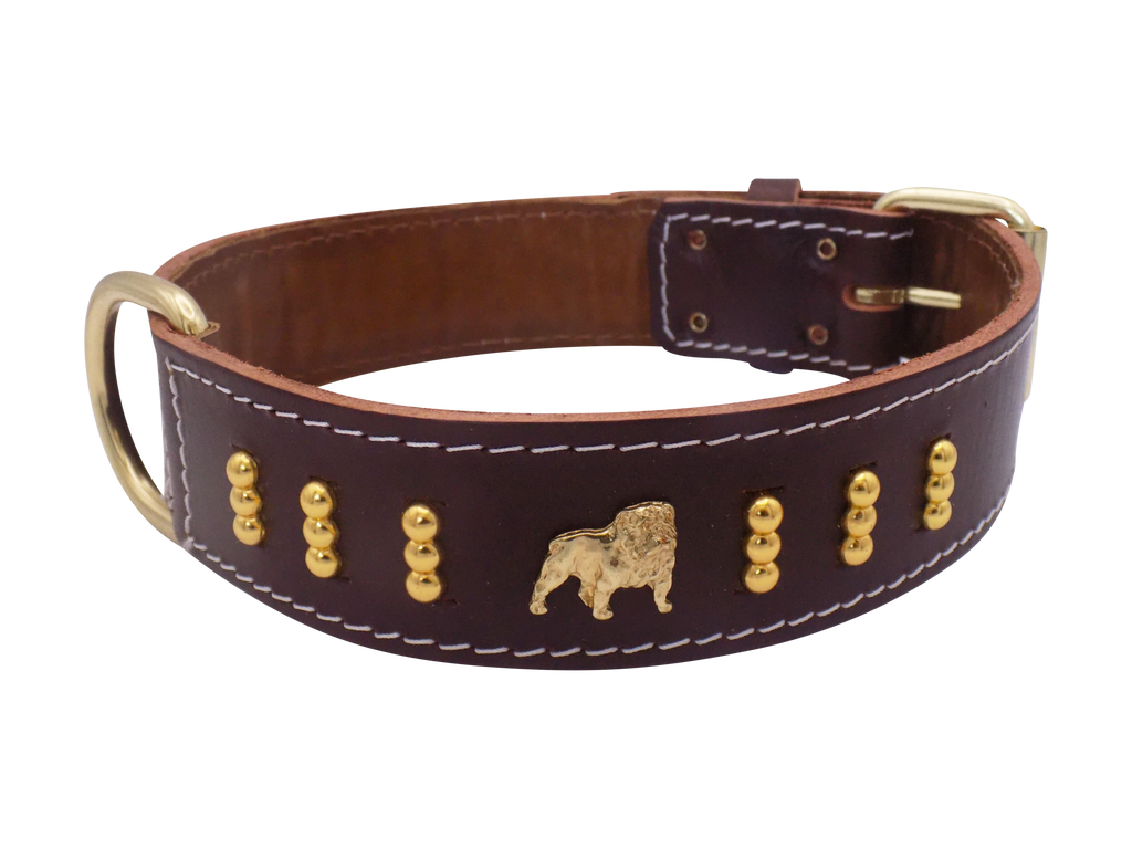 1.5" wide Leather Dog Collar with Unique Gold Design and English Bulldog Badges Style-4