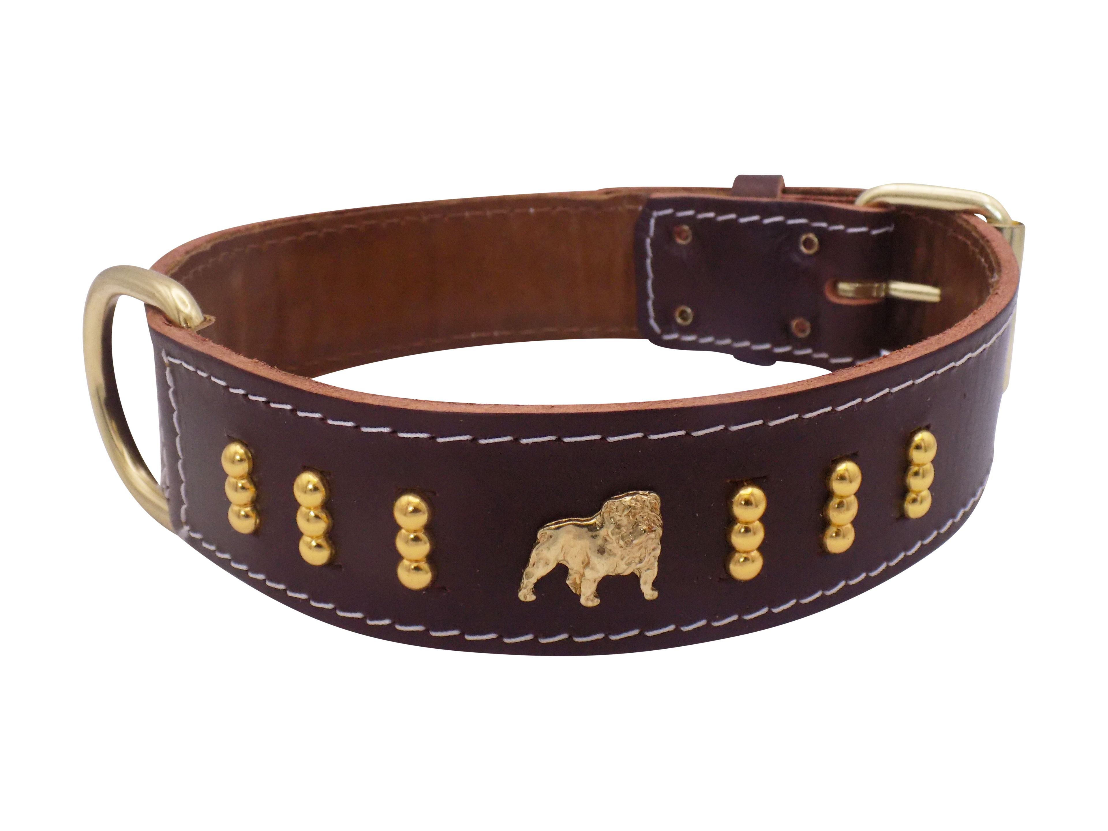 1.5" wide Leather Dog Collar with Unique Gold Design and English Bulldog Badges Style-4