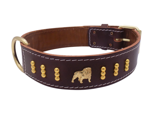 1.5" wide Leather Dog Collar with Unique Gold Design and English Bulldog Badges Style-4