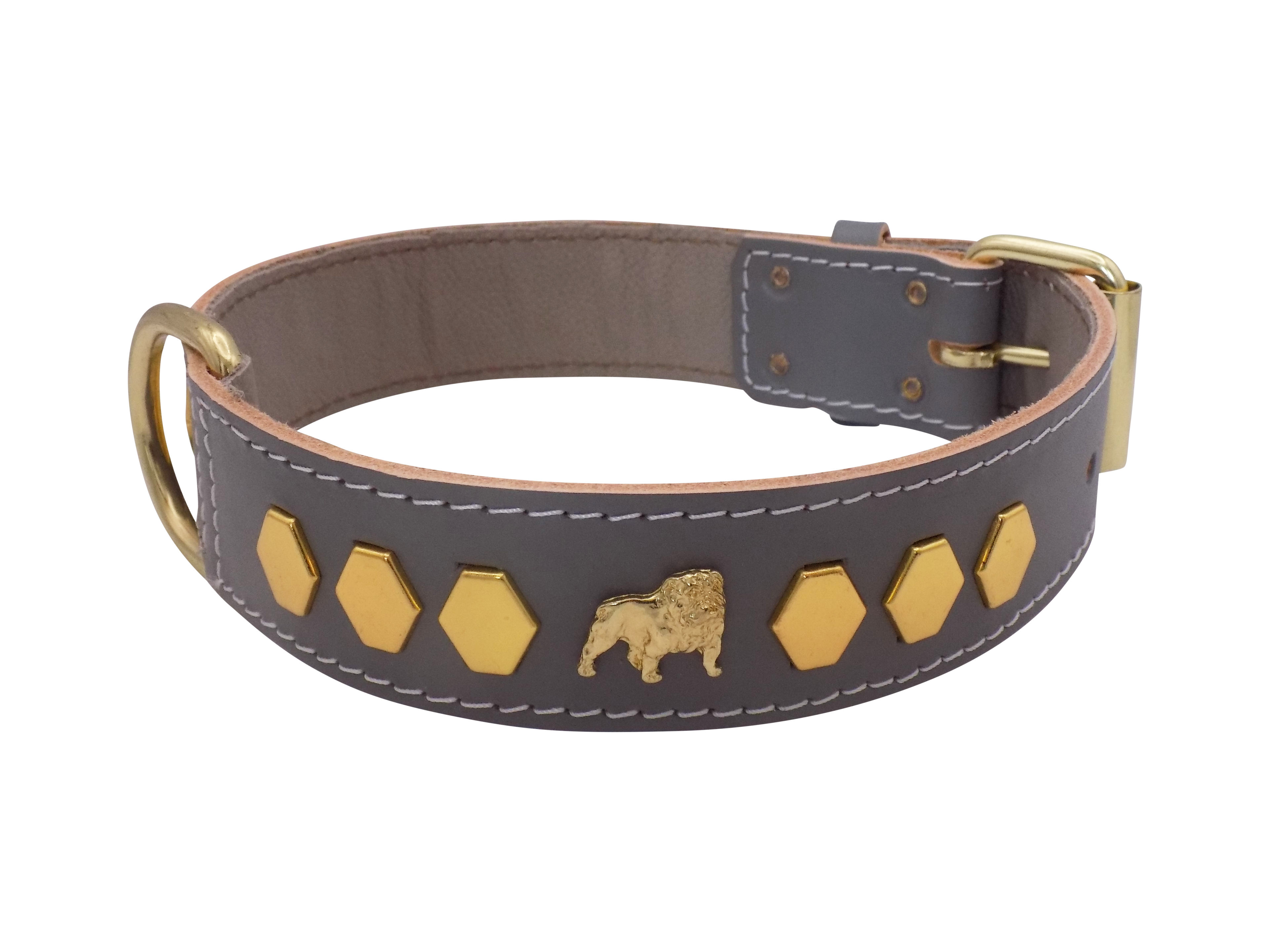 1.5" wide Leather Dog Collar with Unique Gold Design and English Bulldog Badges