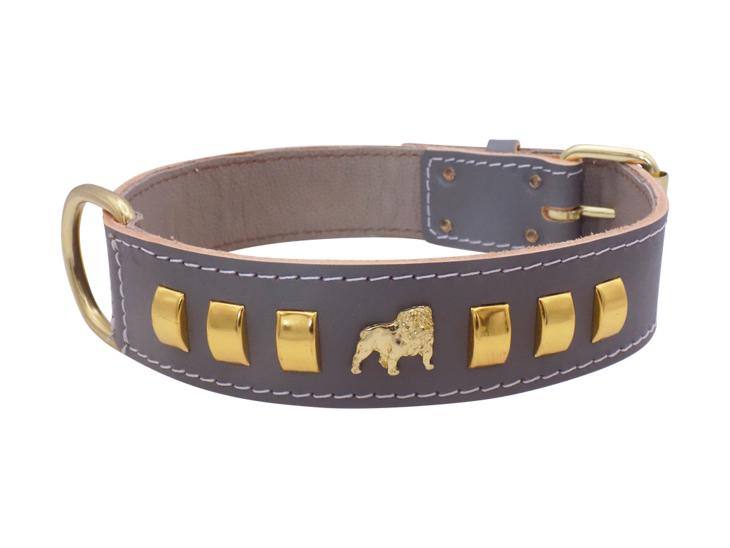 1.5" wide Leather Dog Collar with Unique Gold Design and English Bulldog Badges