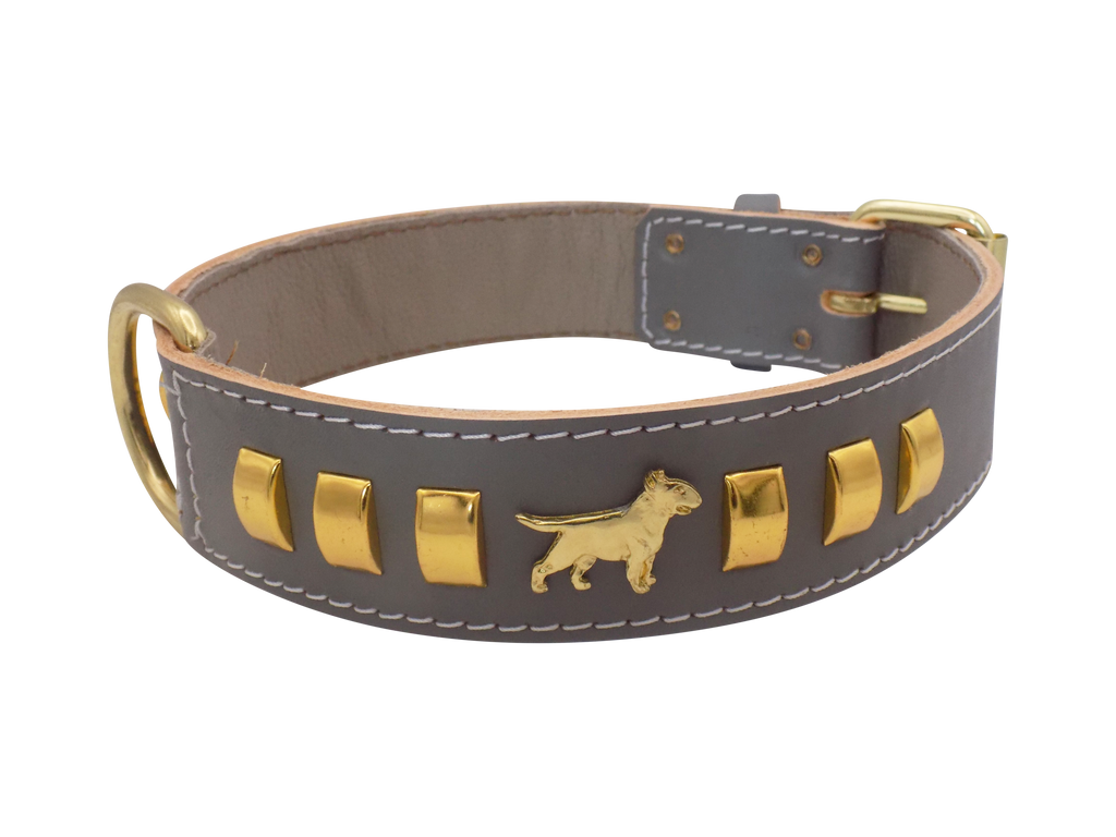 1.5" wide Leather Dog Collar with Decorative Gold Design and English Bull Terrier Badges