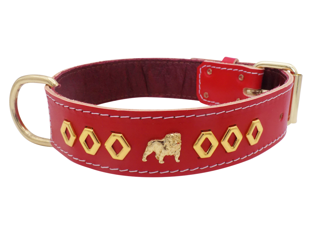 1.5" wide Leather Dog Collar with Unique Gold Design and English Bulldog Badges