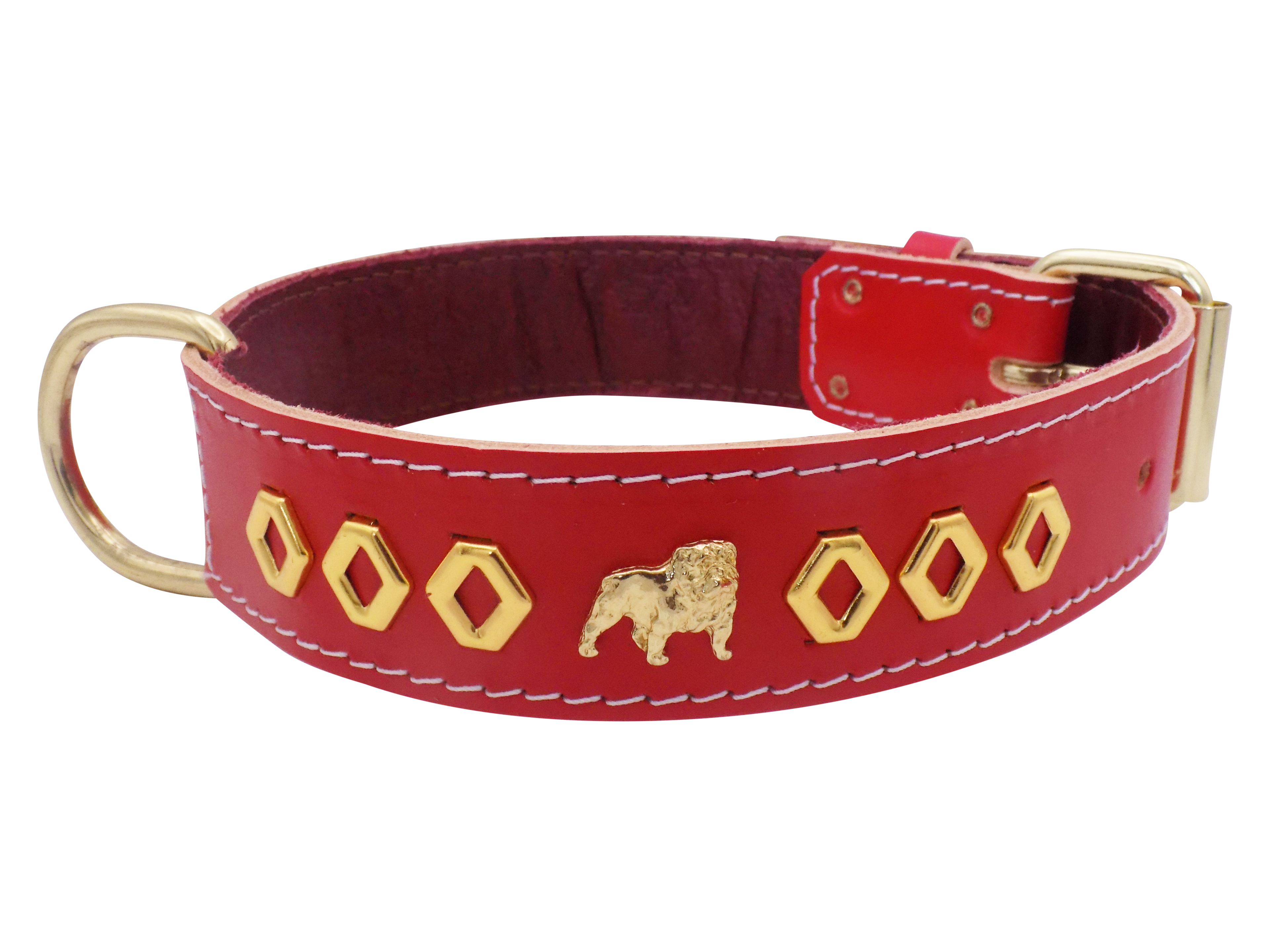 1.5" wide Leather Dog Collar with Unique Gold Design and English Bulldog Badges