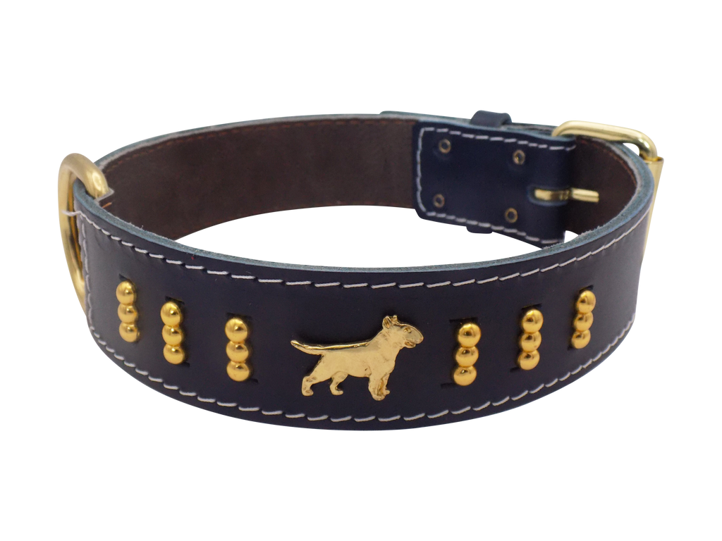 1.5" wide Leather Dog Collar with Decorative Gold Design and English Bull Terrier Badges