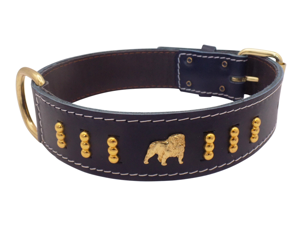 1.5" wide Leather Dog Collar with Unique Gold Design and English Bulldog Badges Style-4