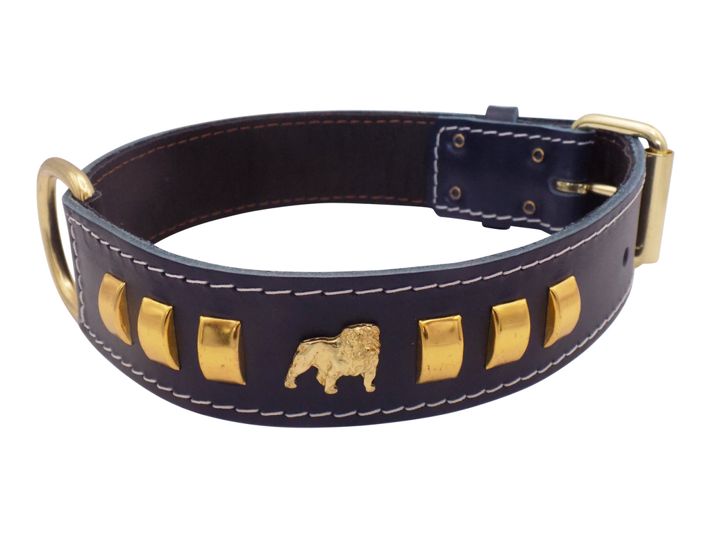 1.5" wide Leather Dog Collar with Unique Gold Design and English Bulldog Badges