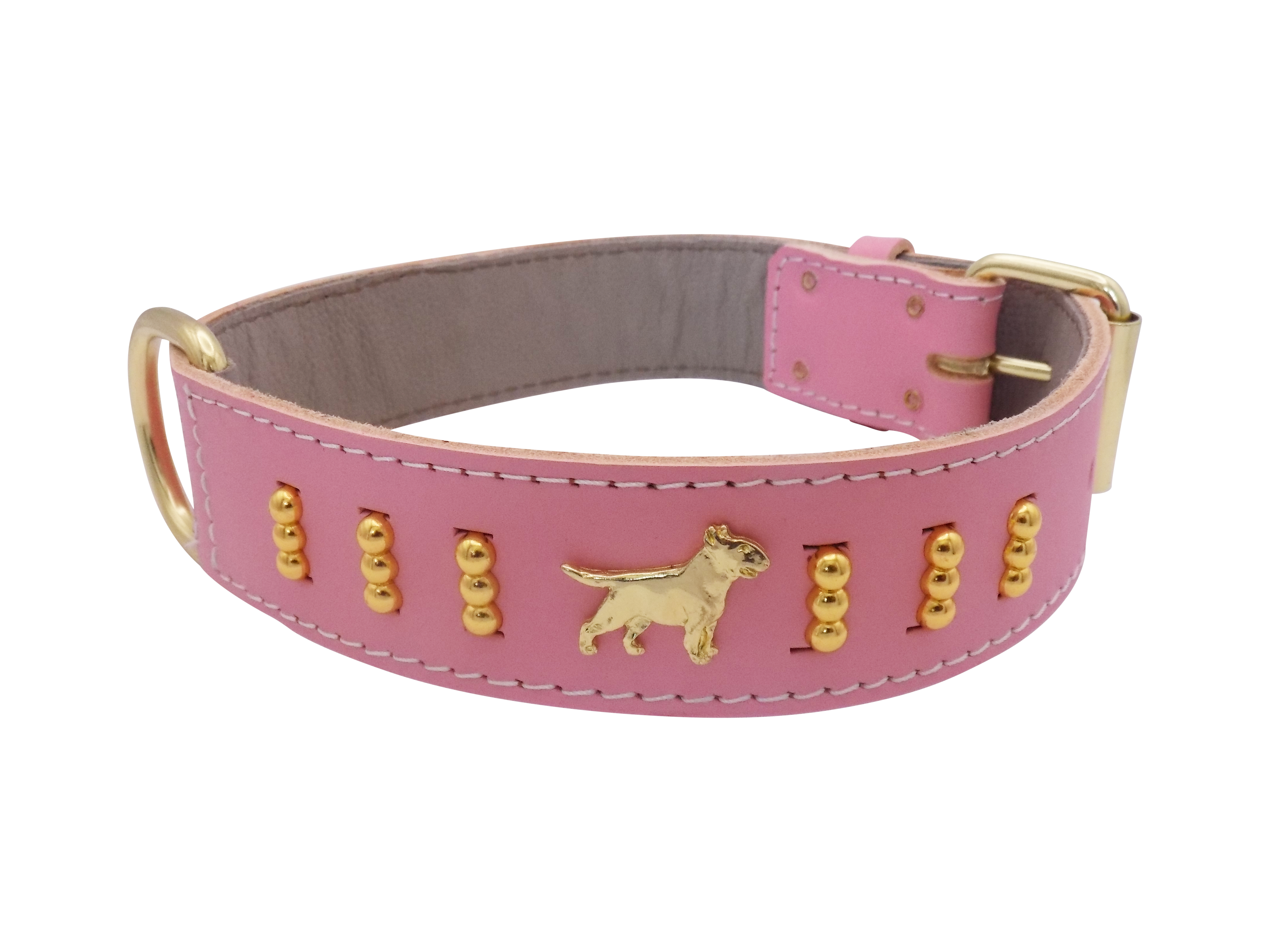 1.5" wide Leather Dog Collar with Decorative Gold Design and English Bull Terrier Badges