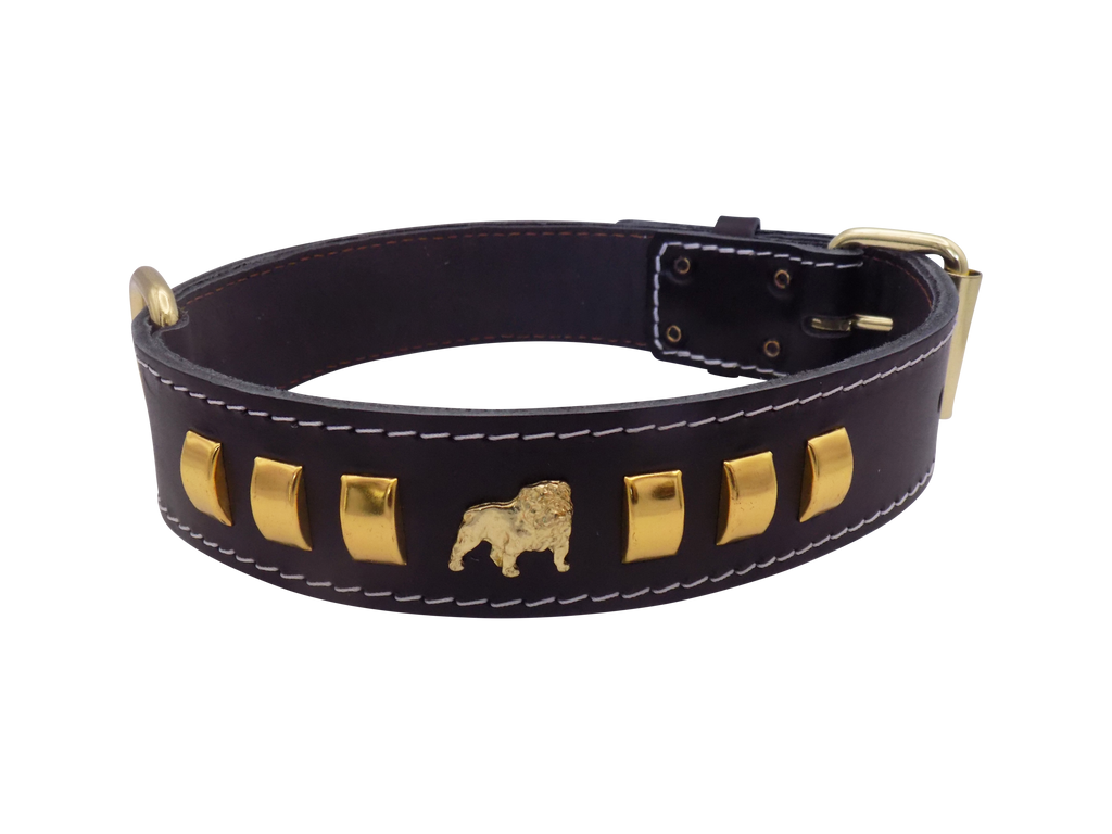 1.5" wide Leather Dog Collar with Unique Gold Design and English Bulldog Badges