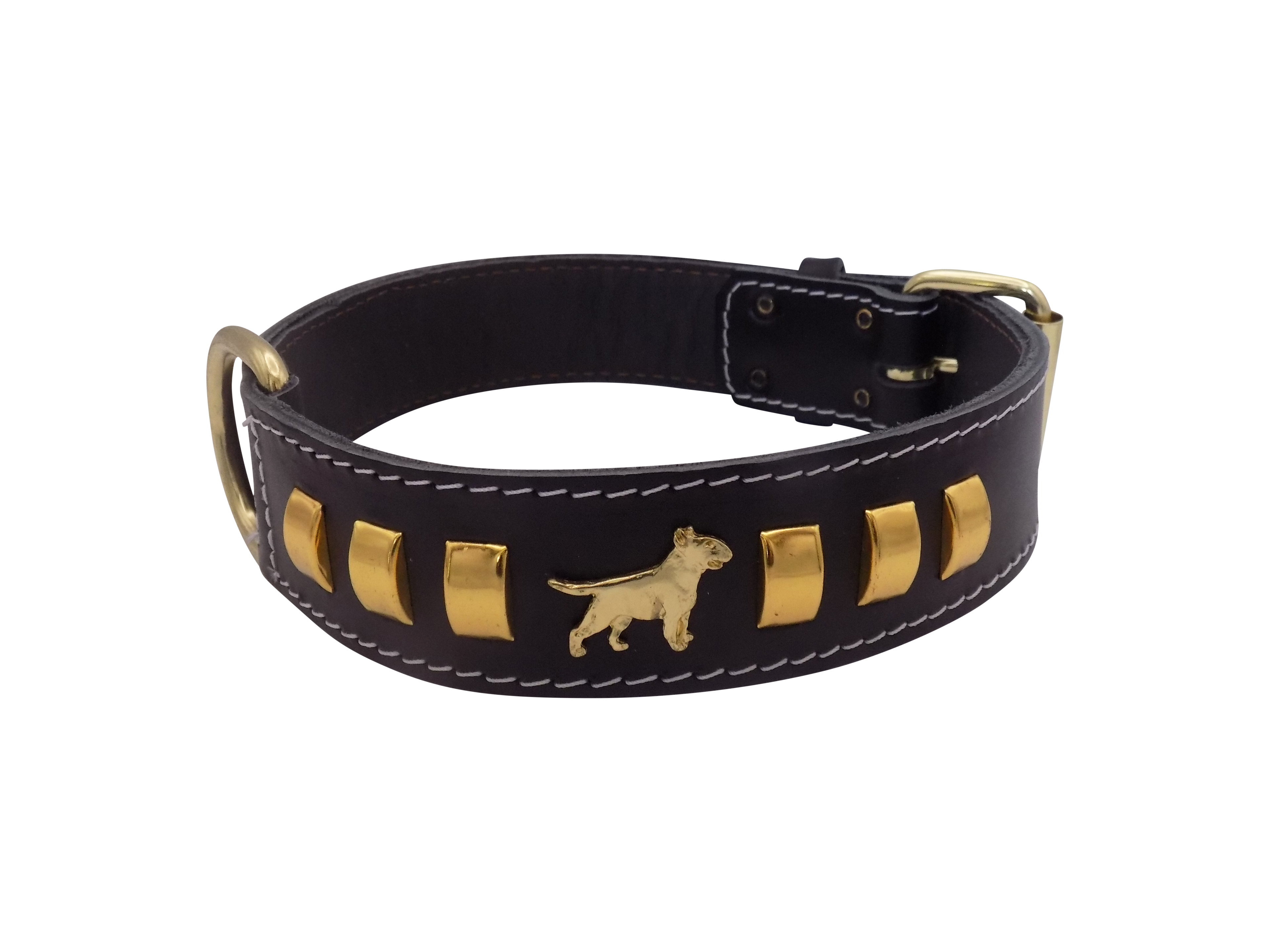 1.5" wide Leather Dog Collar with Decorative Gold Design and English Bull Terrier Badges