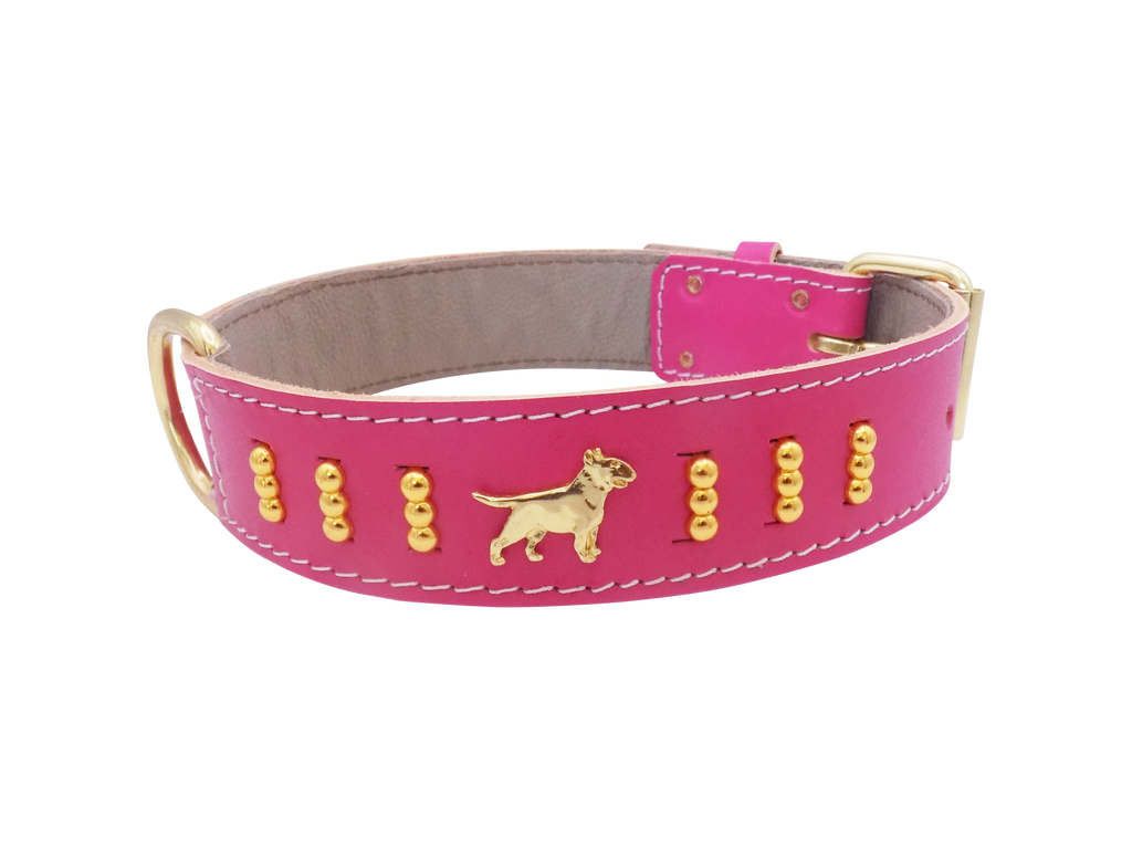 1.5" wide Leather Dog Collar with Decorative Gold Design and English Bull Terrier Badges