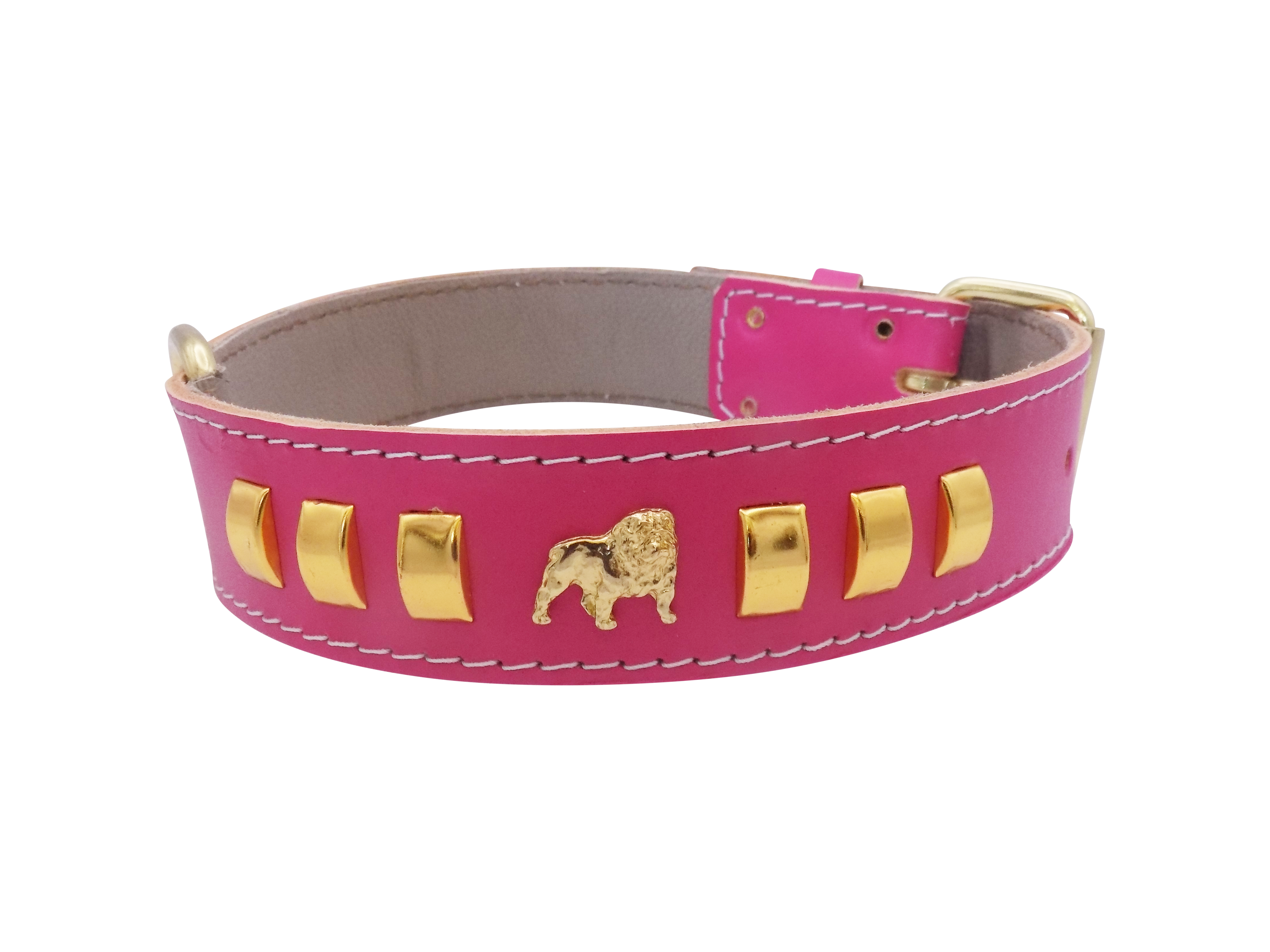 1.5" wide Leather Dog Collar with Unique Gold Design and English Bulldog Badges
