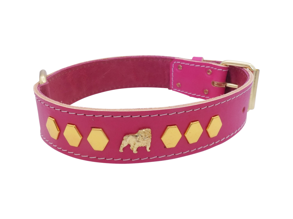 1.5" wide Leather Dog Collar with Unique Gold Design and English Bulldog Badges