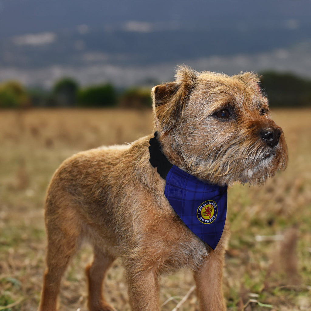 No Scotland No Party - Blue Tartan - Dog Bandana - 4 Sizes