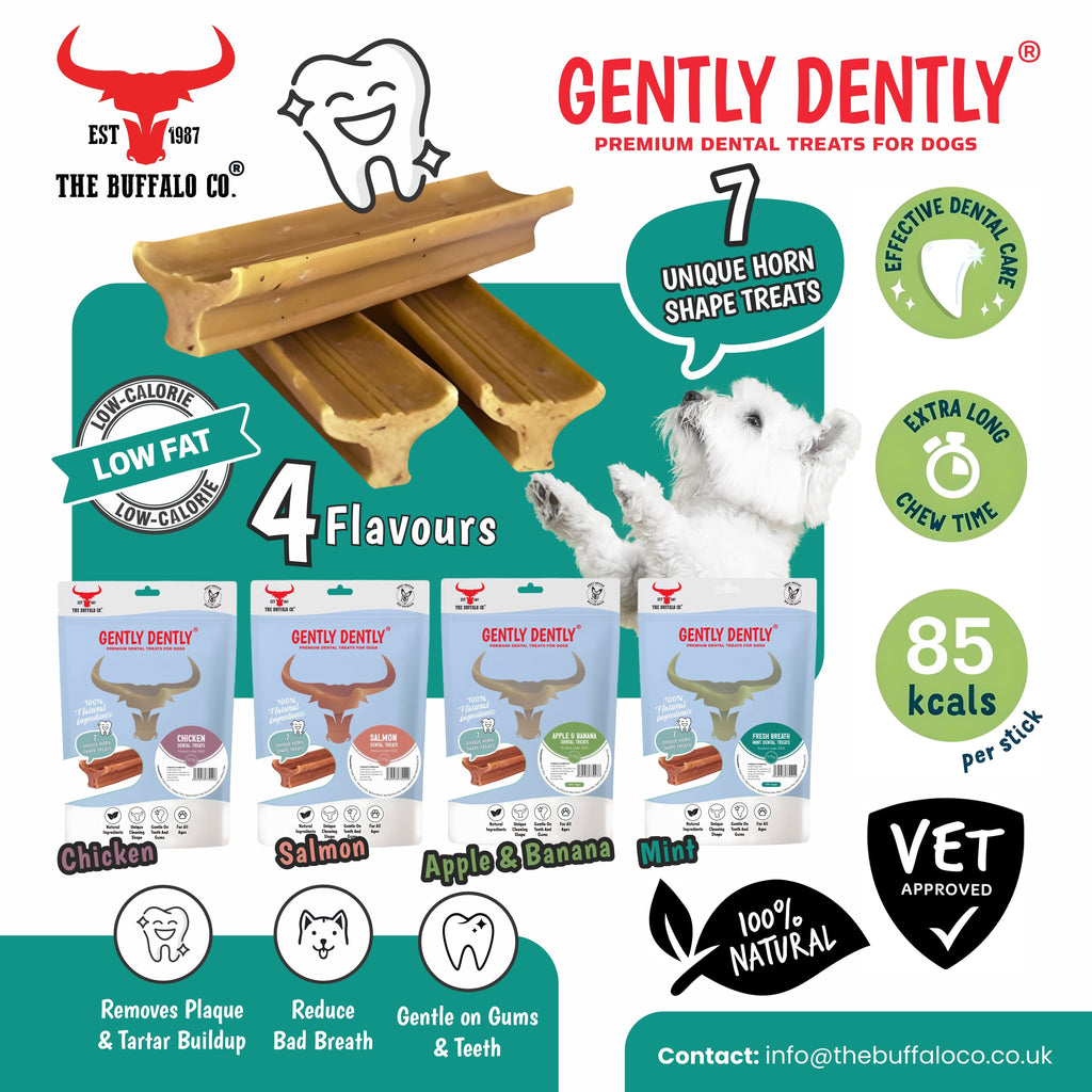 Gently Dently- Fresh Breath Mint Dental Treats for Dogs 175g
