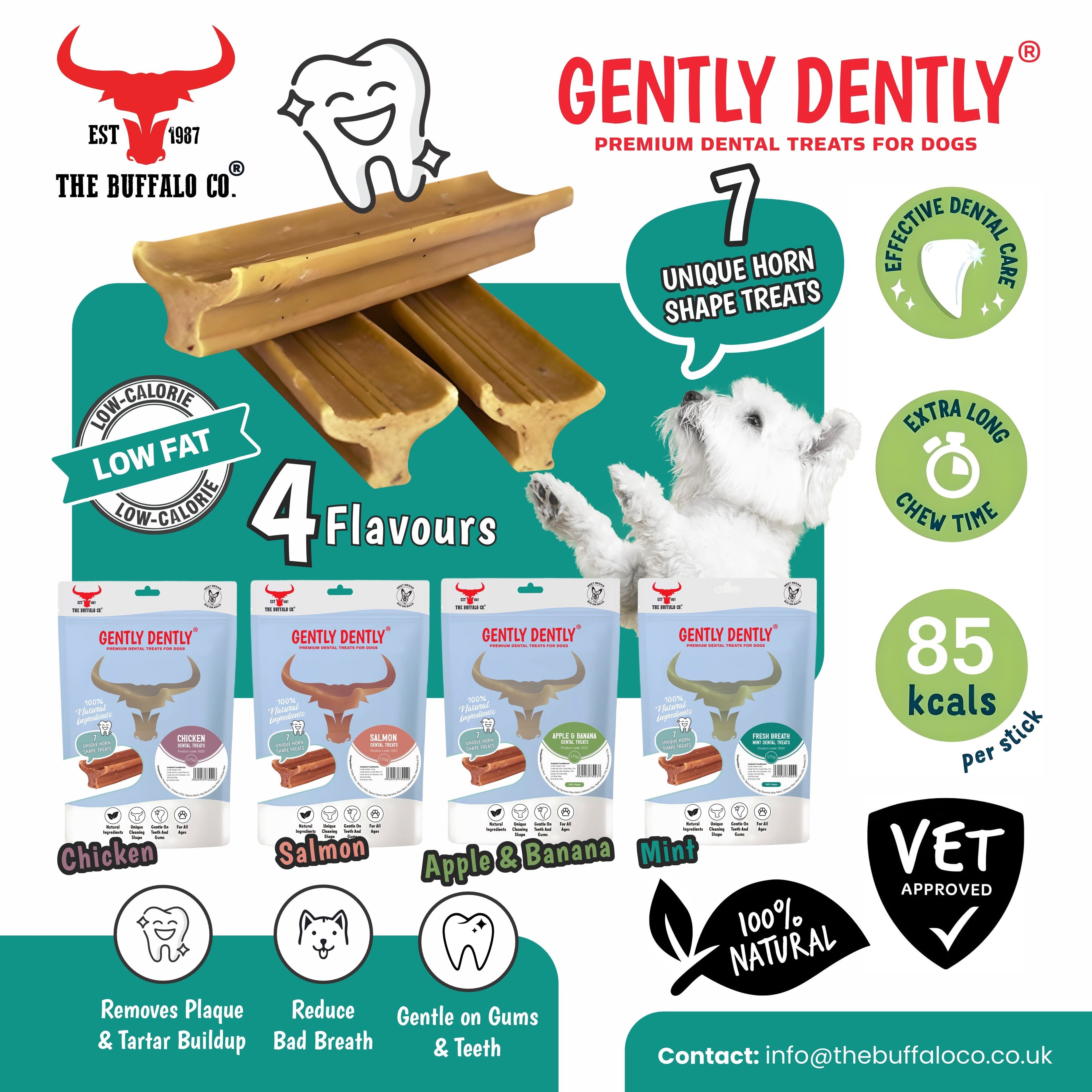 Gently Dently- Fresh Breath Mint Dental Treats for Dogs 175g